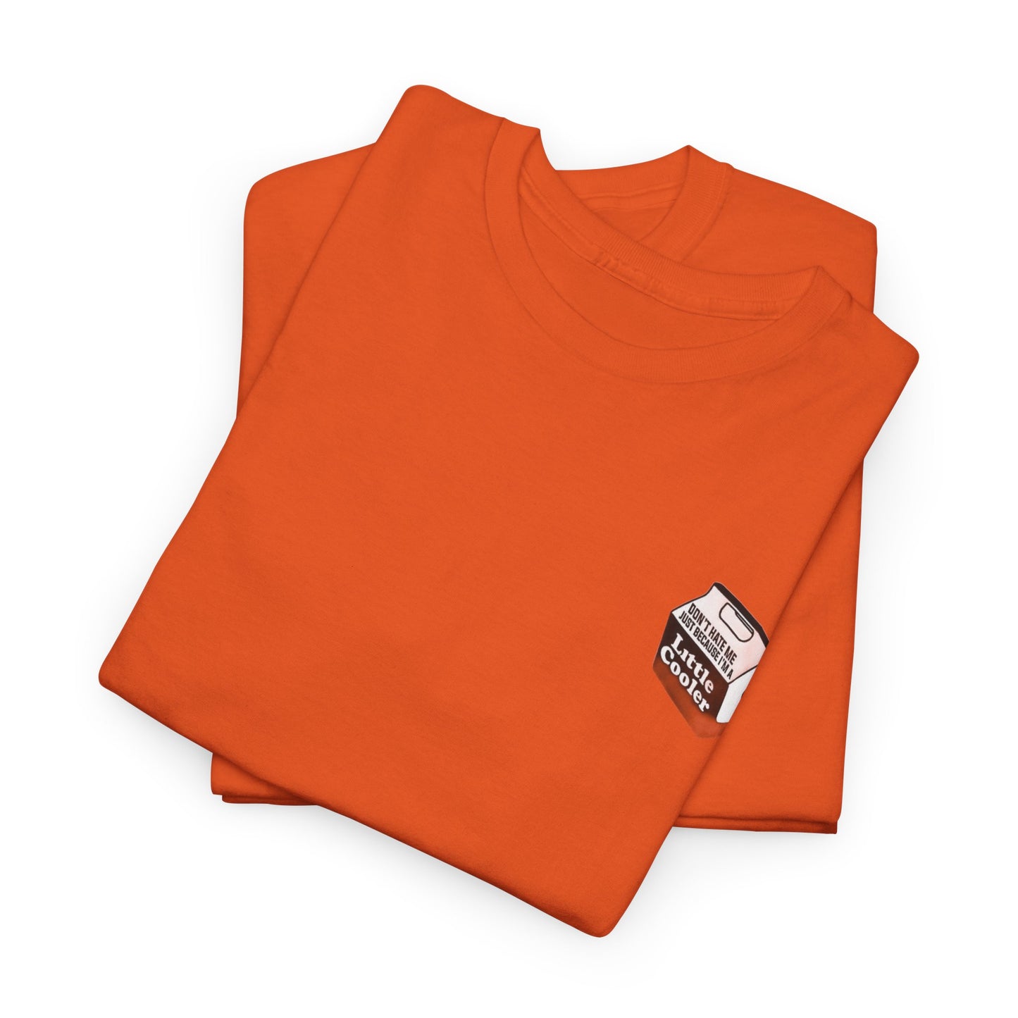 "Cooler” Heavy fabric T-Shirt
