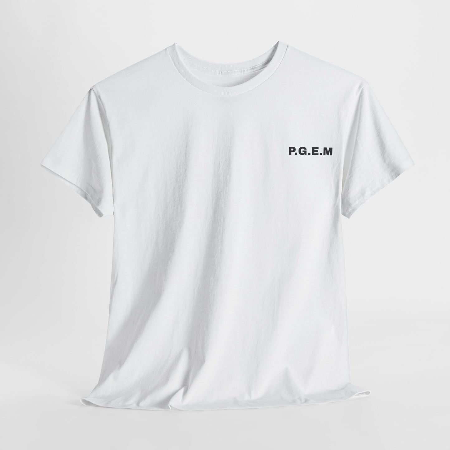 "P.G.E.M back" Heavy fabric T-Shirt